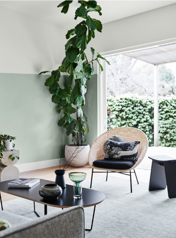 Green Trends in Paint - Green Undertones for crisp bright homes